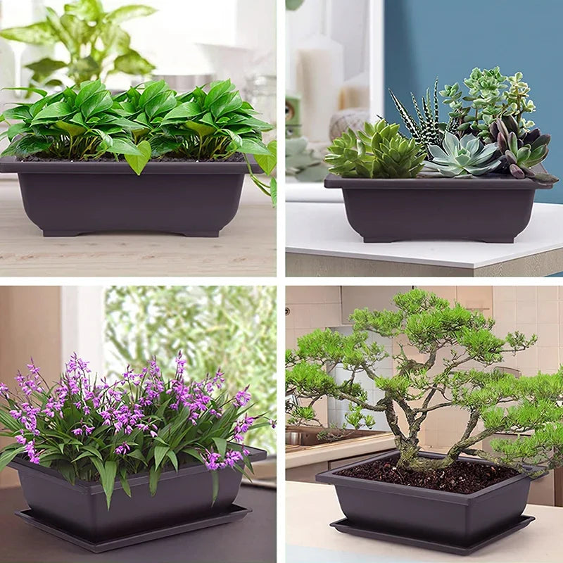 Breathable Bonsai Planter Pot (Rectangular / Square)