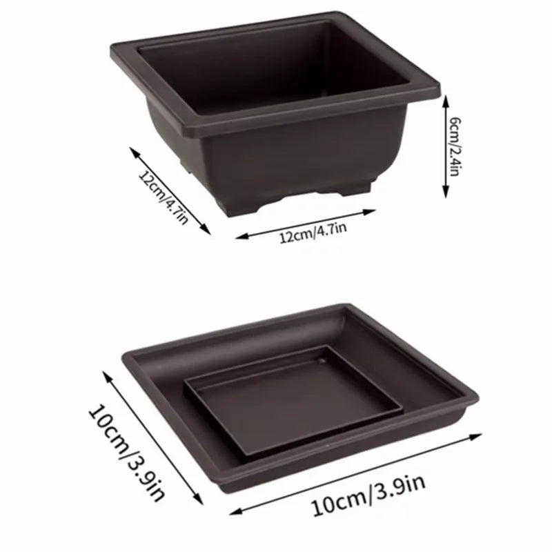 Breathable Bonsai Planter Pot (Rectangular / Square)