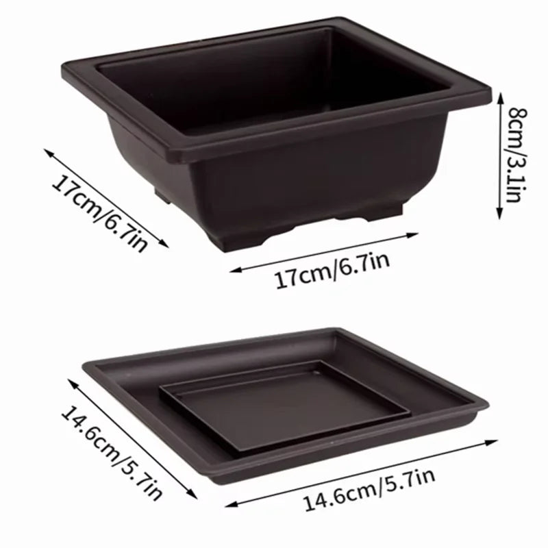 Breathable Bonsai Planter Pot (Rectangular / Square)