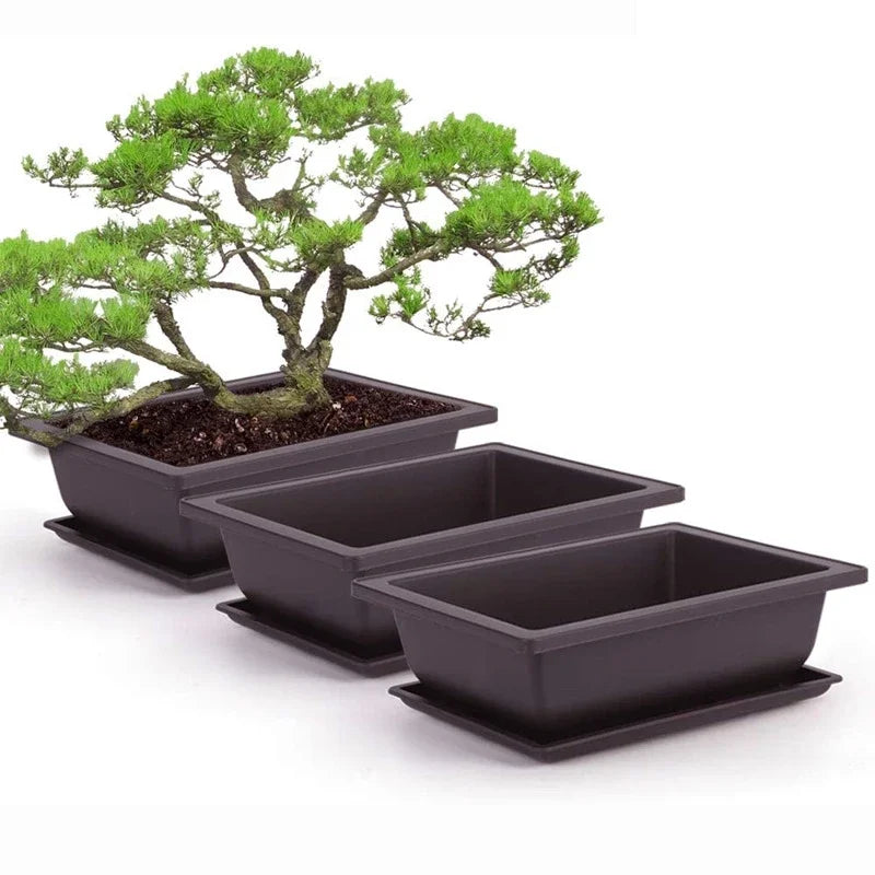 Breathable Bonsai Planter Pot (Rectangular / Square)